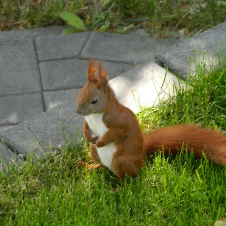 Mueritzblick 35 Und 36, 2xsouterrain-wohnung, 2xerdgeschoss-wohnung, 2xobergeschoss-wohnung Appartement