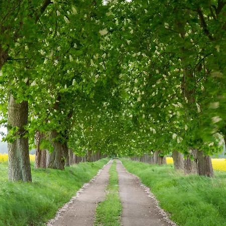 Mueritzblick 35 Und 36, 2xsouterrain-wohnung, 2xerdgeschoss-wohnung, 2xobergeschoss-wohnung Appartement Röbel