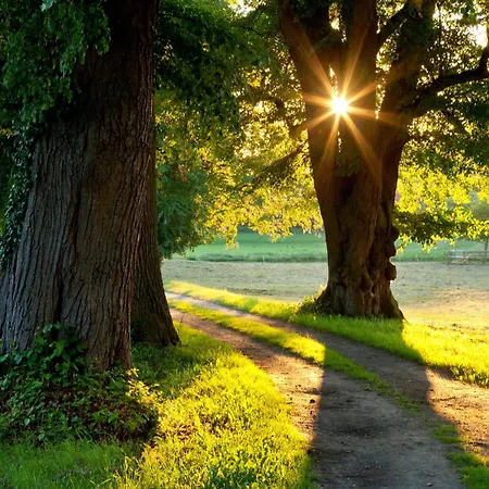 Mueritzblick 35 Und 36, 2xsouterrain-wohnung, 2xerdgeschoss-wohnung, 2xobergeschoss-wohnung Appartement